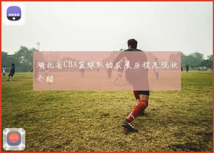 湖北省CBA篮球队的发展历程及现状介绍