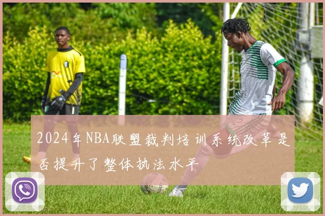 2024年NBA联盟裁判培训系统改革是否提升了整体执法水平