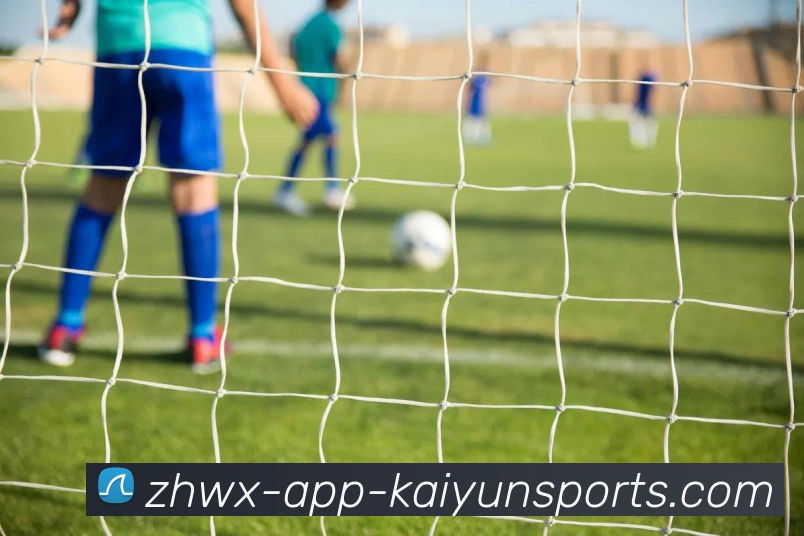 开云体育APP 封面图